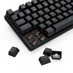 Teclado Mecânico Gamer VALHEIM LED Switch Marrom K608-R Preto Redragon