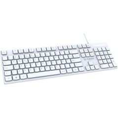 Teclado USB Multimídia K15 Slim Branco Fortrek